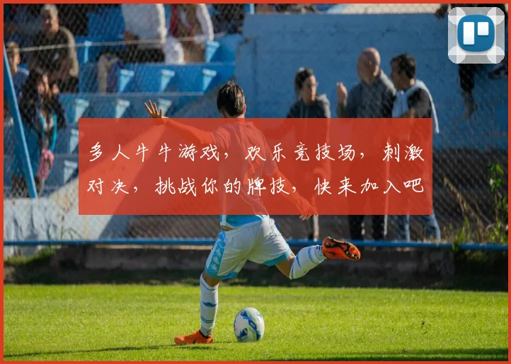 多人牛牛游戏，欢乐竞技场，刺激对决，挑战你的牌技，快来加入吧，