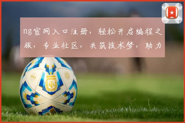 ng官网入口注册，轻松开启编程之旅，专业社区，共筑技术梦，助力成长两步走